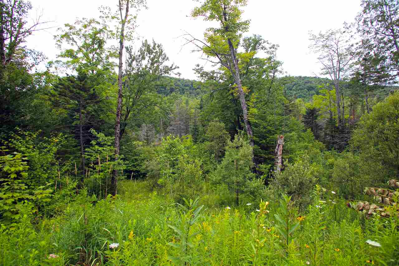 3000 Notch Road Washington, VT 05675 - Photo 21 of 40