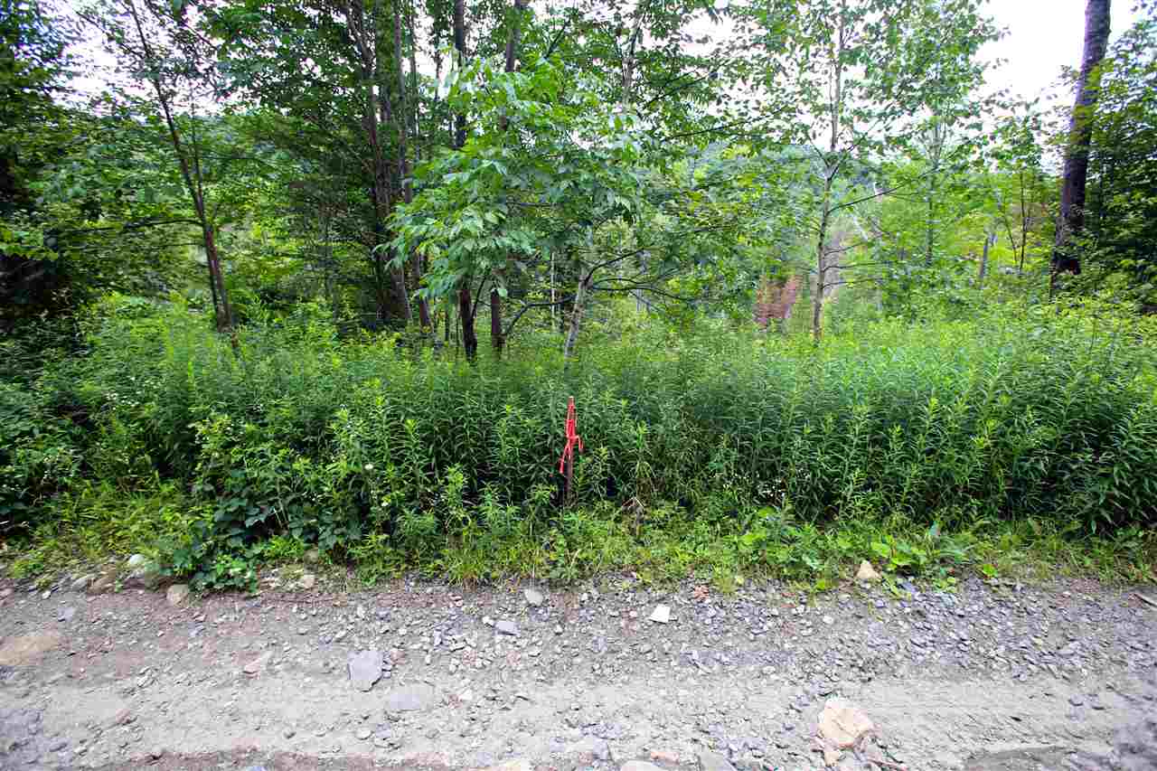 3000 Notch Road Washington, VT 05675 - Photo 22 of 40