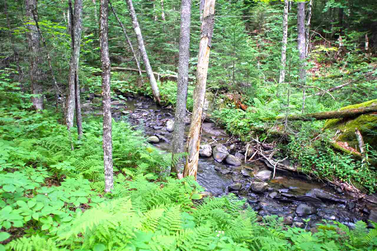 3000 Notch Road Washington, VT 05675 - Photo 24 of 40