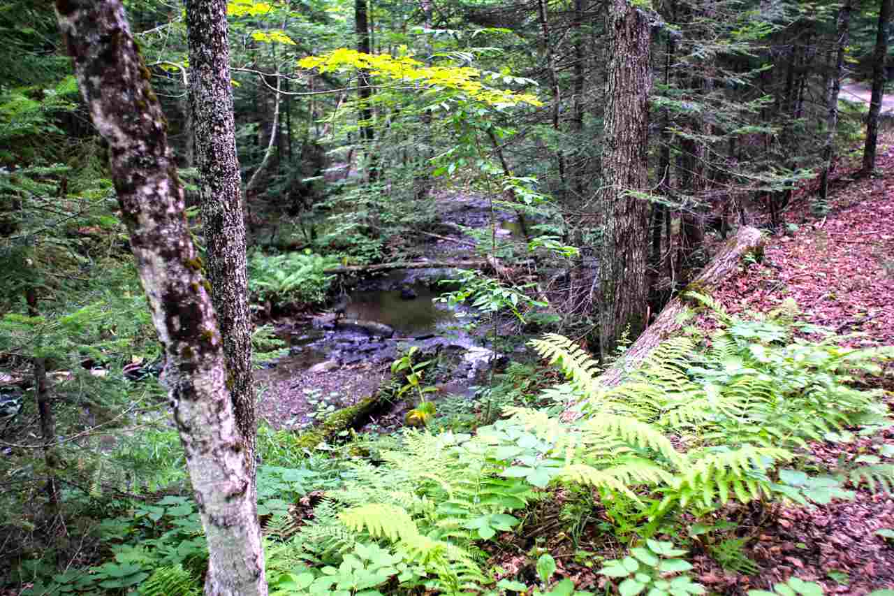 3000 Notch Road Washington, VT 05675 - Photo 25 of 40