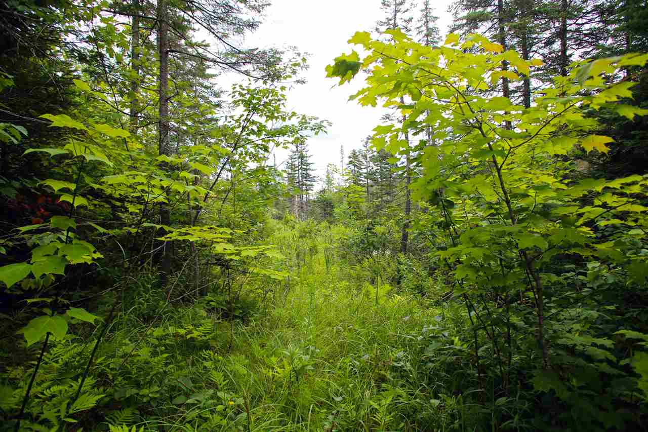 3000 Notch Road Washington, VT 05675 - Photo 26 of 40