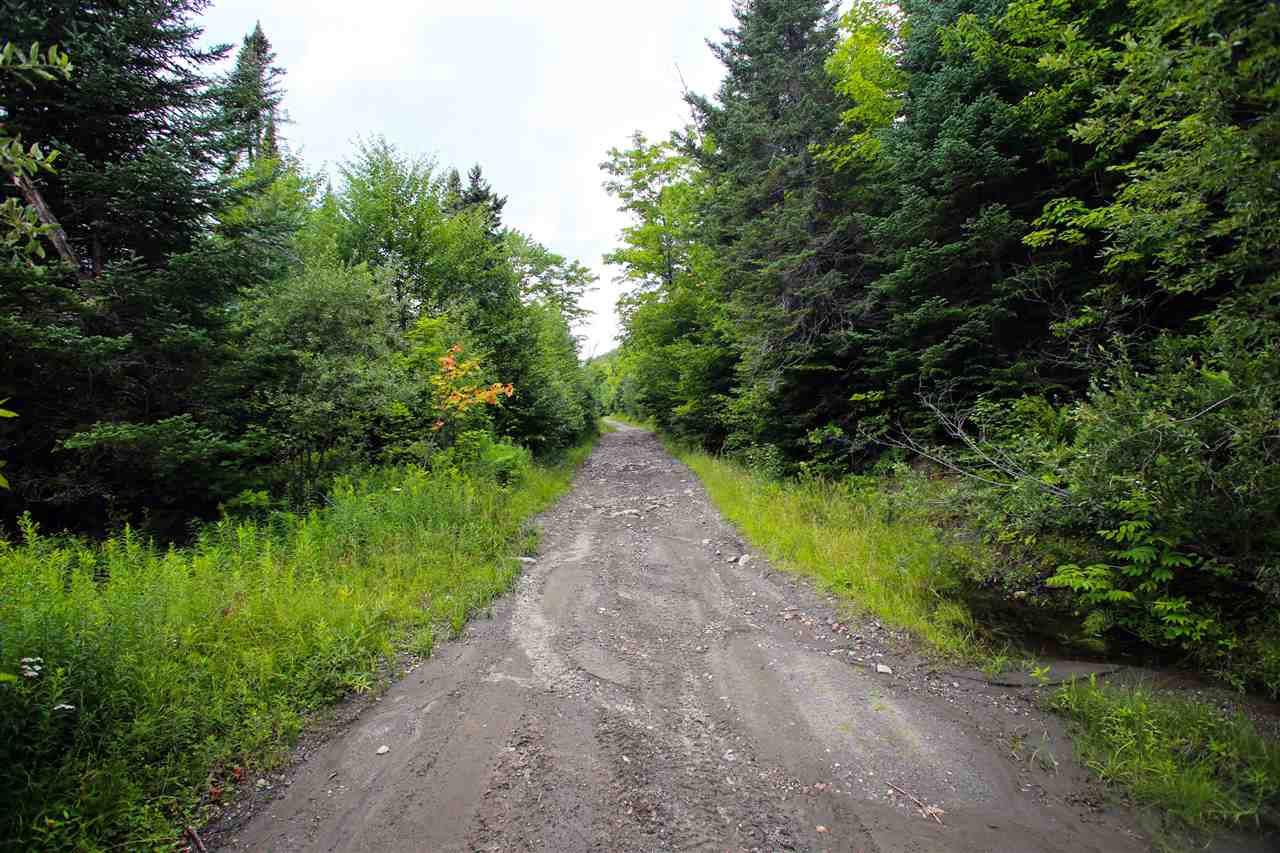 3000 Notch Road Washington, VT 05675 - Photo 27 of 40