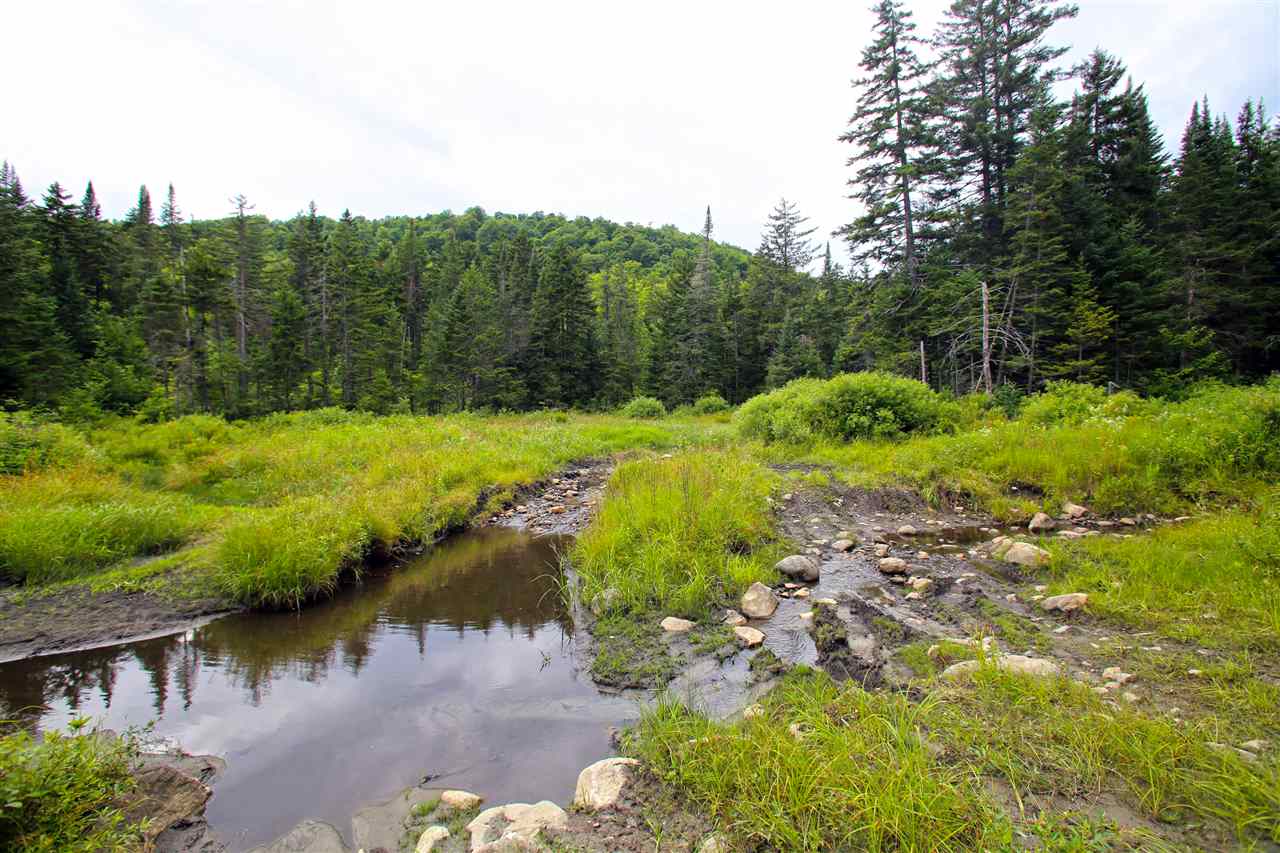 3000 Notch Road Washington, VT 05675 - Photo 29 of 40