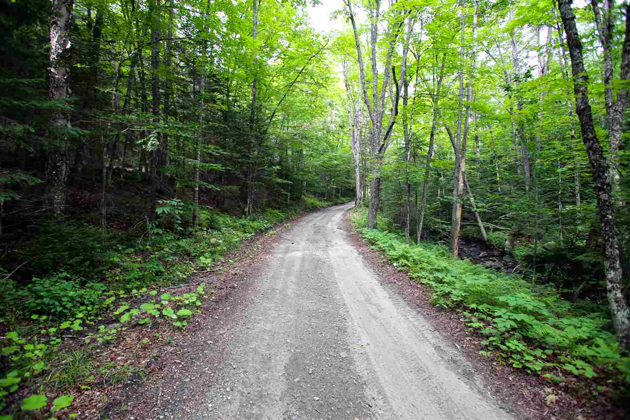 3000 Notch Road Washington, VT 05675 - Photo 32 of 40