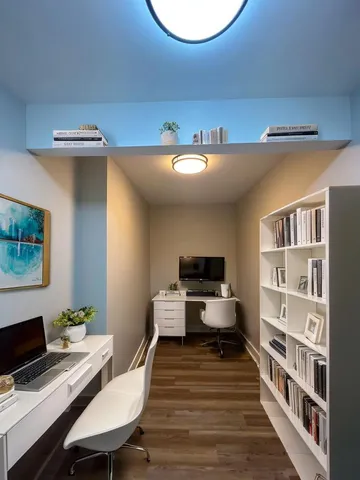 a street view with large trees