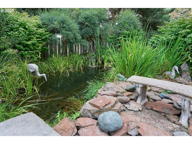 a view of a backyard with plants and outdoor seating