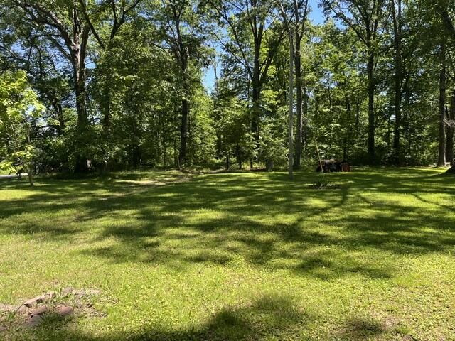 362 Cullen Savage Road Palmer, TN 37365 - Photo 20 of 76 IMG_7158