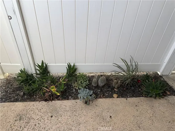 a view of a plants with a plant