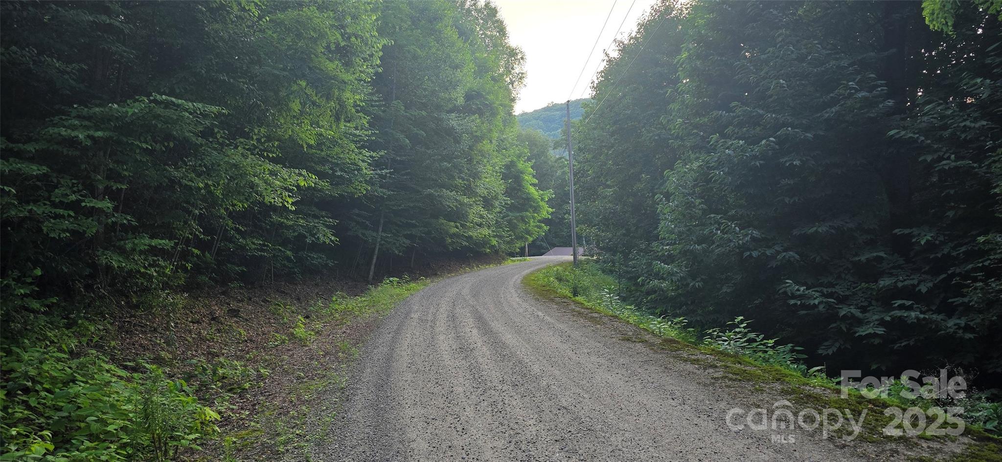 Lot 501 Spellbound Road Waynesville, NC 28785 - Photo 11 of 30 a view of a yard