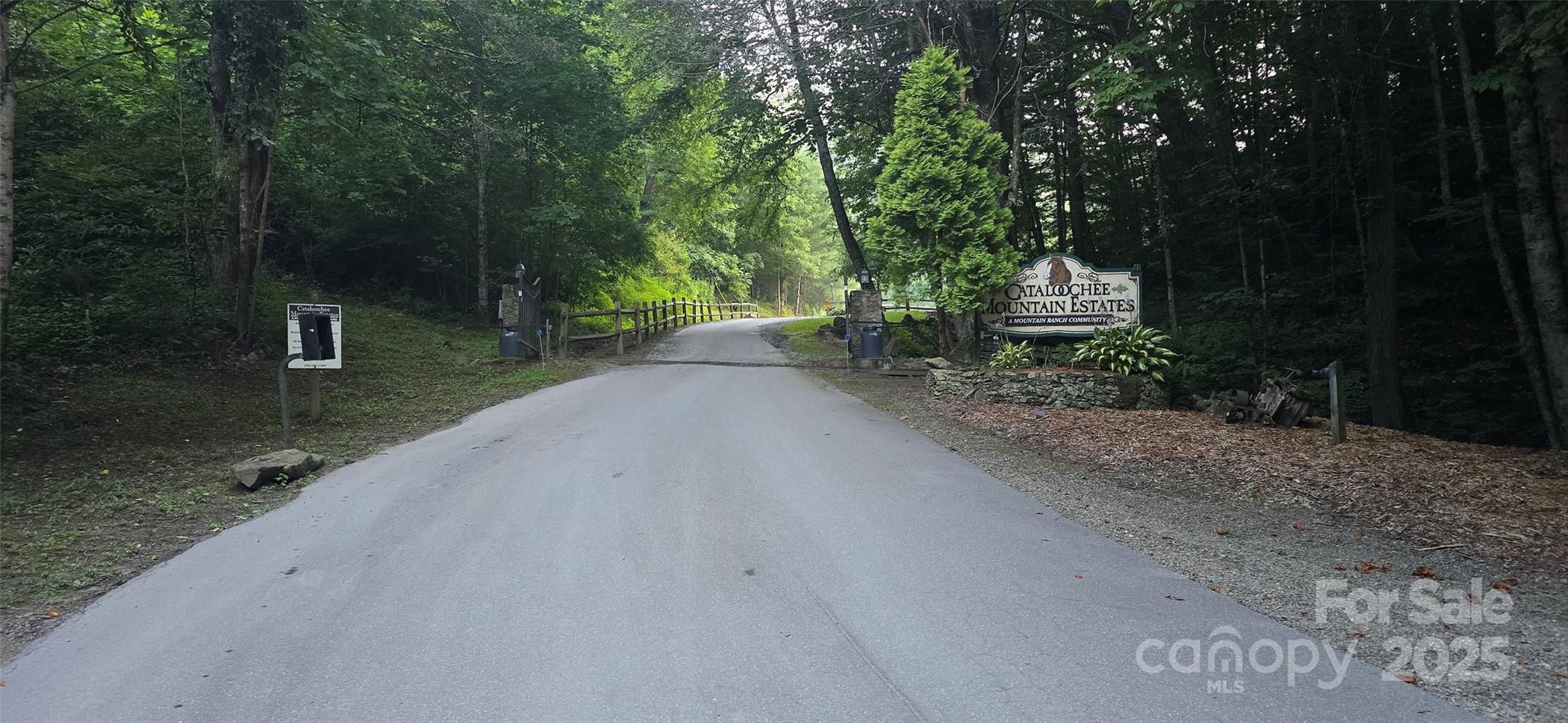 Lot 501 Spellbound Road Waynesville, NC 28785 - Photo 23 of 30 a view of a road with a trees in the background