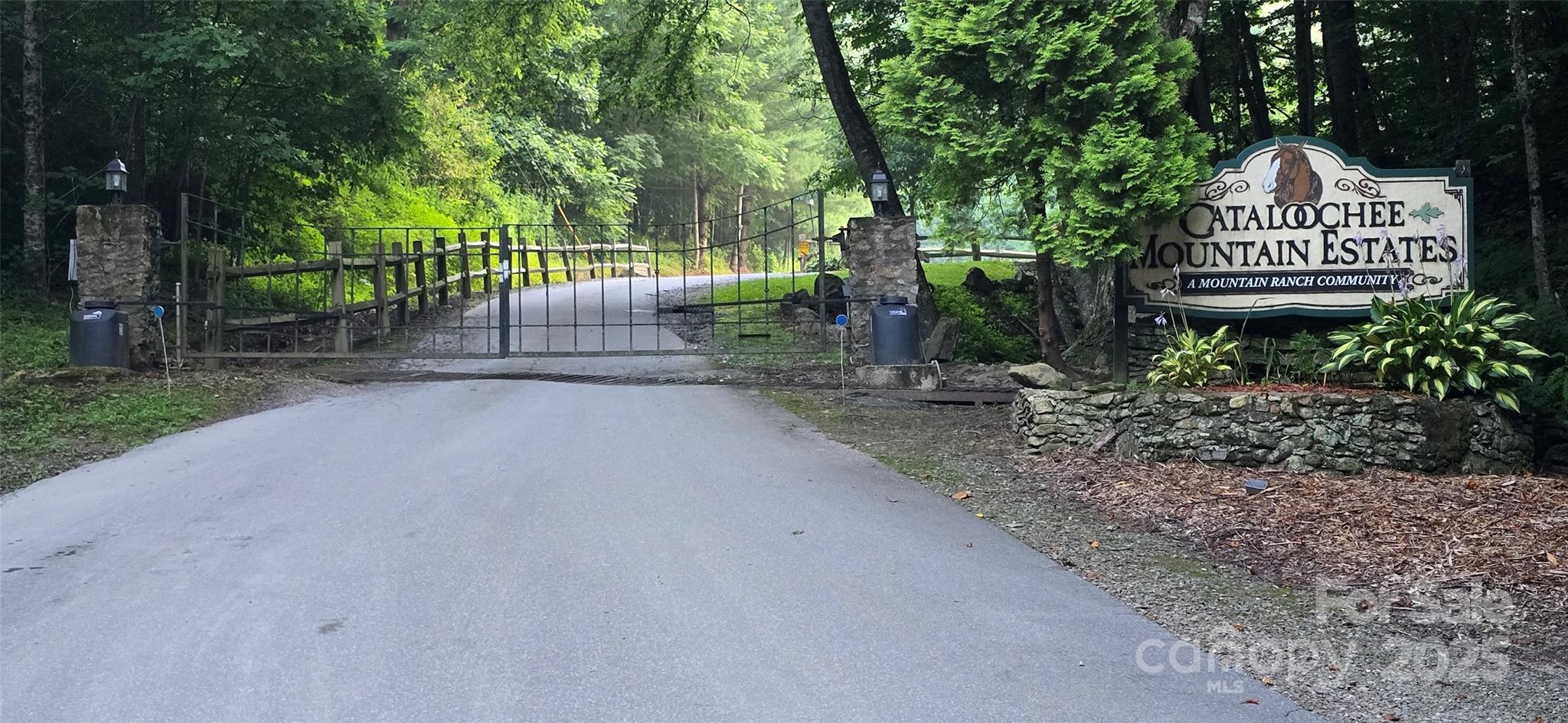 Lot 501 Spellbound Road Waynesville, NC 28785 - Photo 24 of 30 a view of a street with potted plants and trees