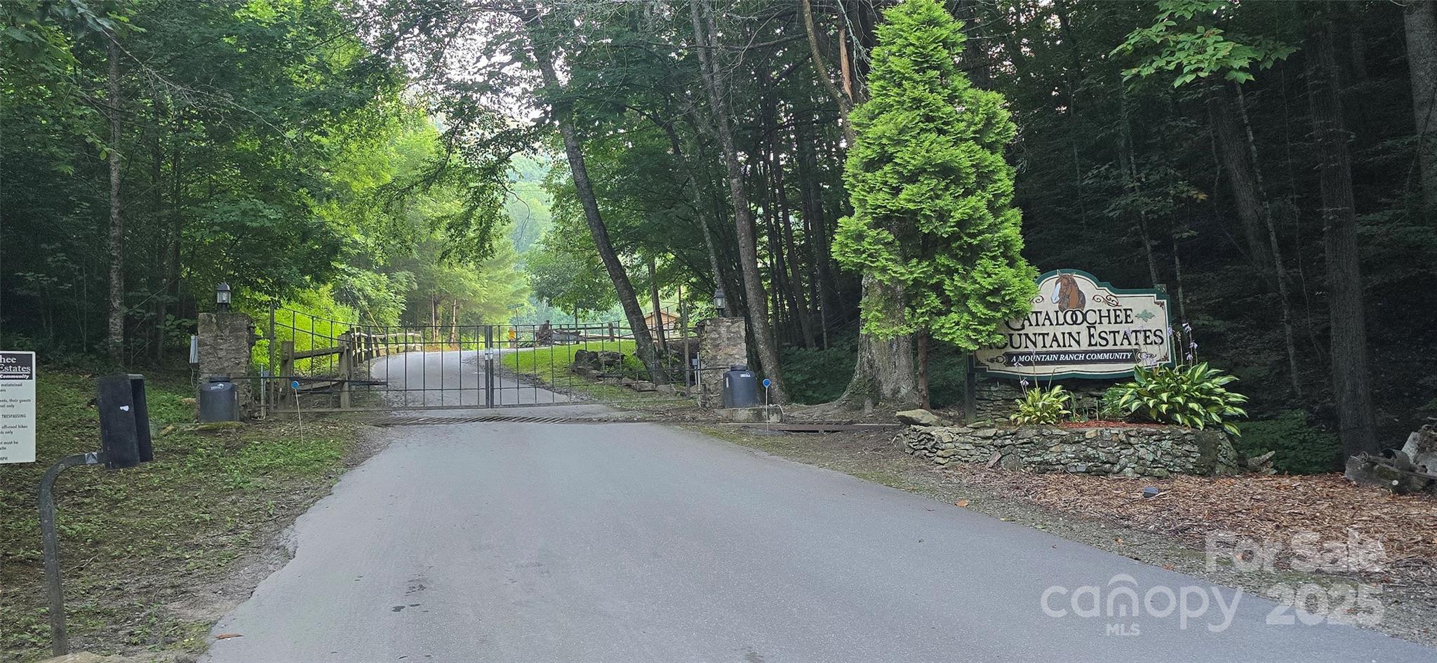 Lot 501 Spellbound Road Waynesville, NC 28785 - Photo 25 of 30 a view of a street with large trees
