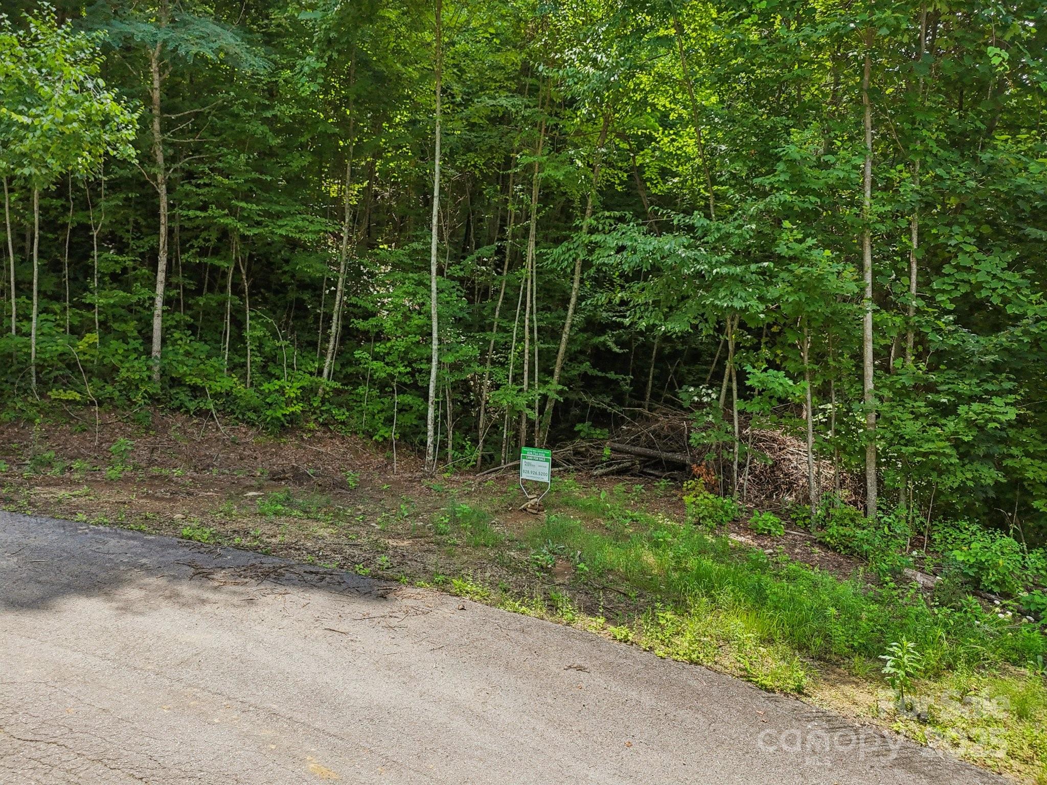 Lot 501 Spellbound Road Waynesville, NC 28785 - Photo 26 of 30 a view of a backyard