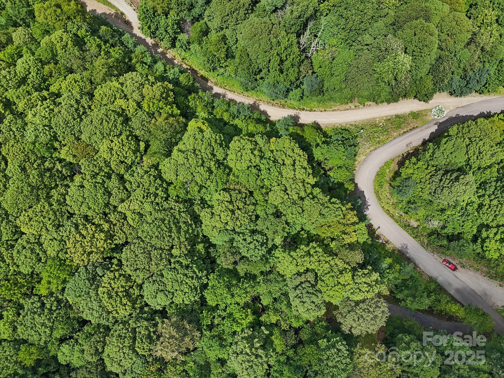 Lot 501 Spellbound Road Waynesville, NC 28785 - Photo 27 of 30 a view of a garden with a tree