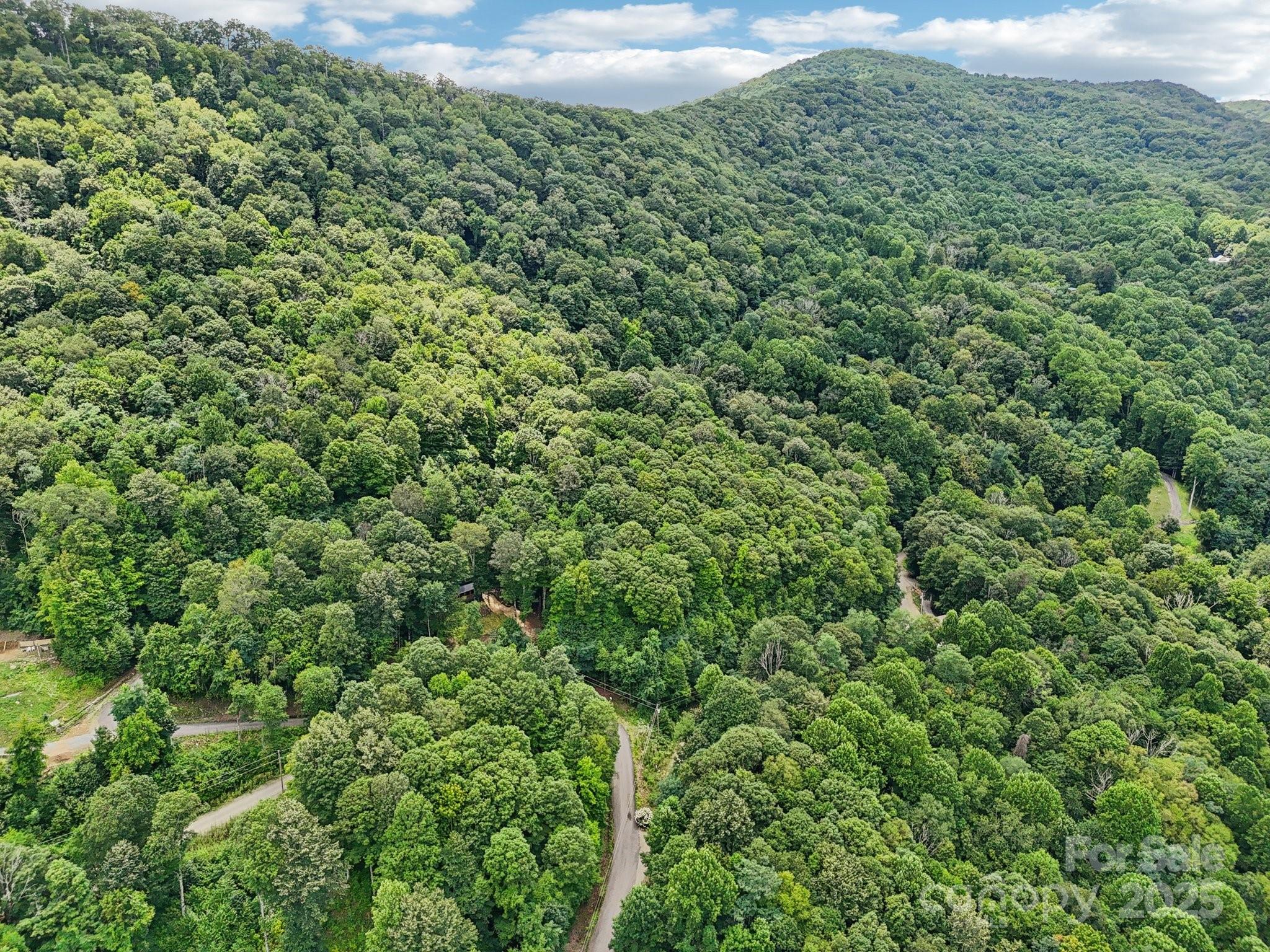 Lot 501 Spellbound Road Waynesville, NC 28785 - Photo 28 of 30 a view of a lush green forest