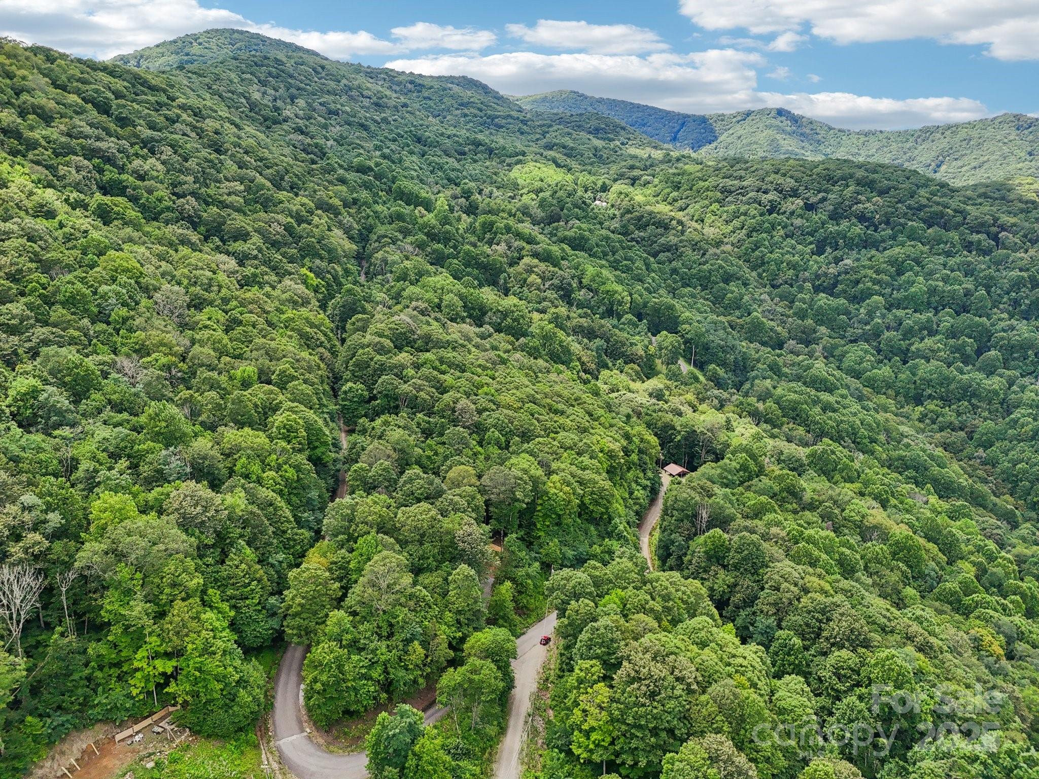Lot 501 Spellbound Road Waynesville, NC 28785 - Photo 29 of 30 a view of a lush green forest with lots of trees