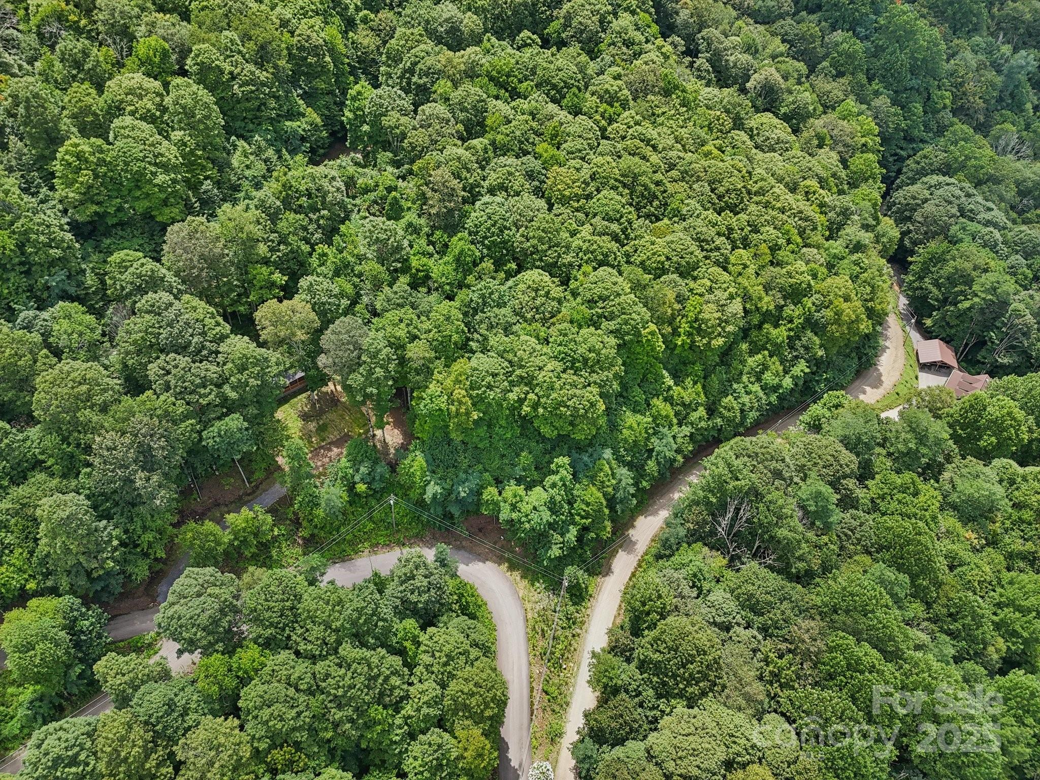 Lot 501 Spellbound Road Waynesville, NC 28785 - Photo 3 of 30 an aerial view of residential house with outdoor space and trees all around