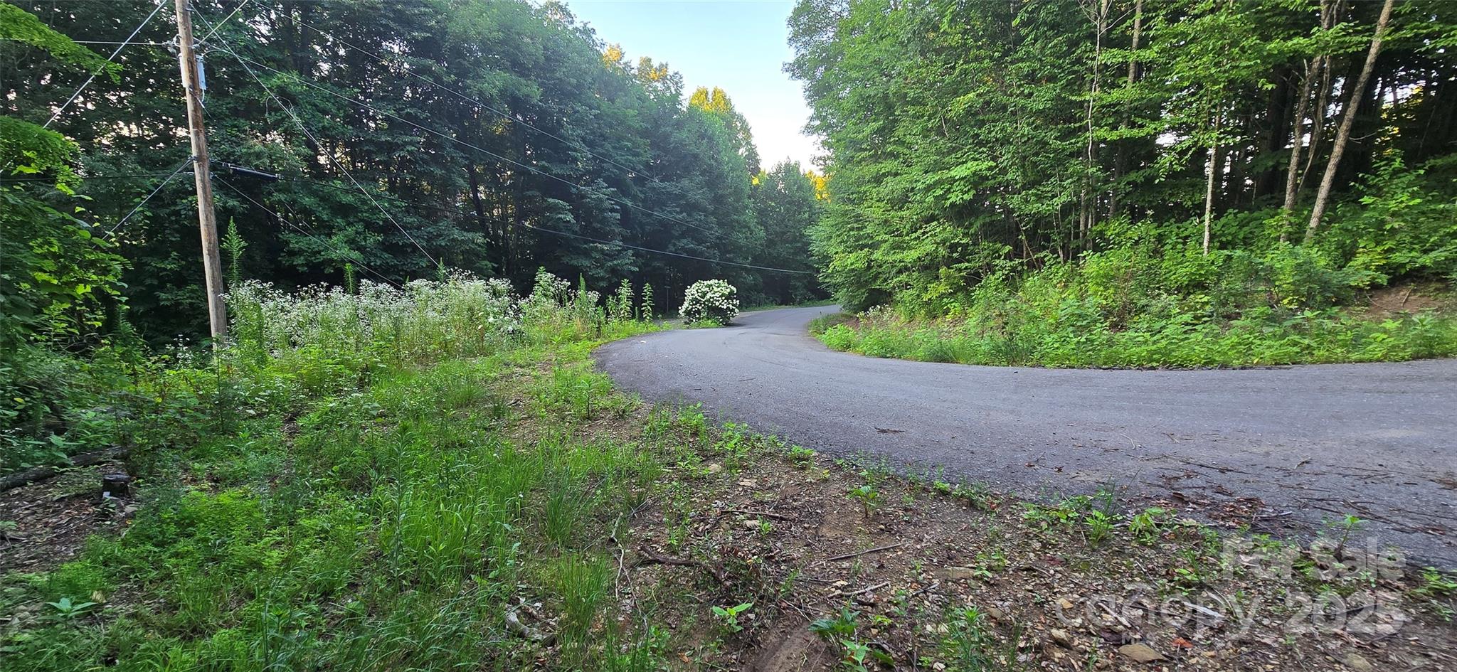 Lot 501 Spellbound Road Waynesville, NC 28785 - Photo 6 of 30 a view of backyard with green space
