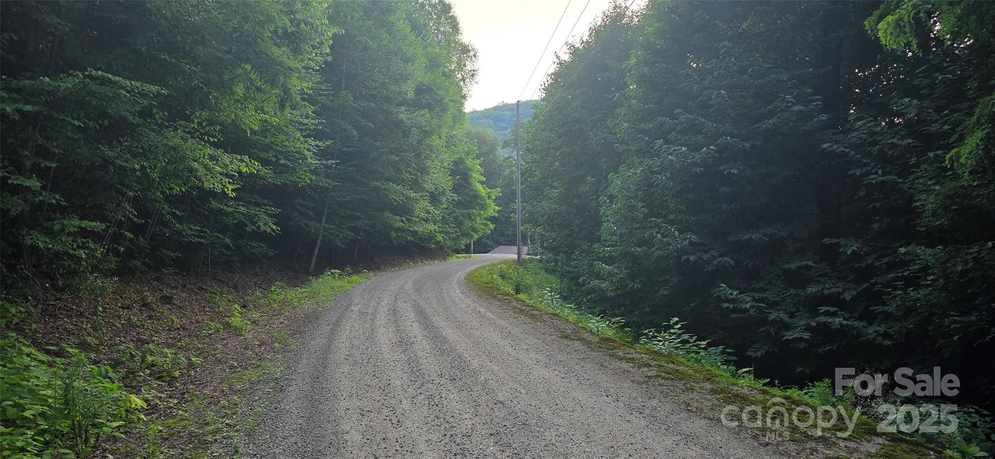 Lot 501 Spellbound Road Waynesville, NC 28785 - Photo 7 of 30 a view of a street with a trees