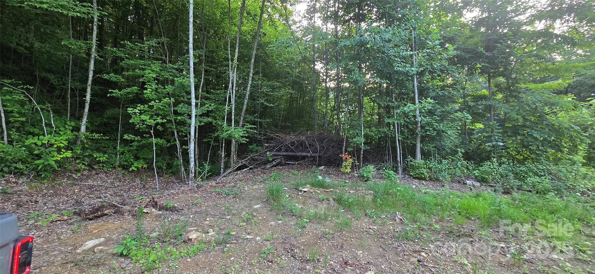 Lot 501 Spellbound Road Waynesville, NC 28785 - Photo 8 of 30 a view of forest