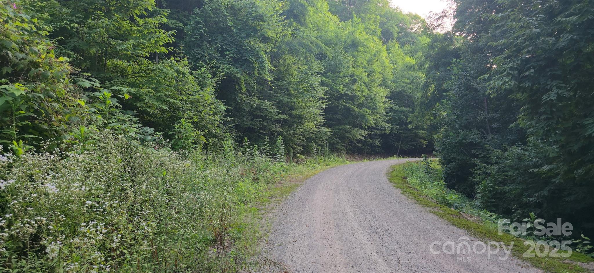 Lot 501 Spellbound Road Waynesville, NC 28785 - Photo 9 of 30 a view of a lake with a yard