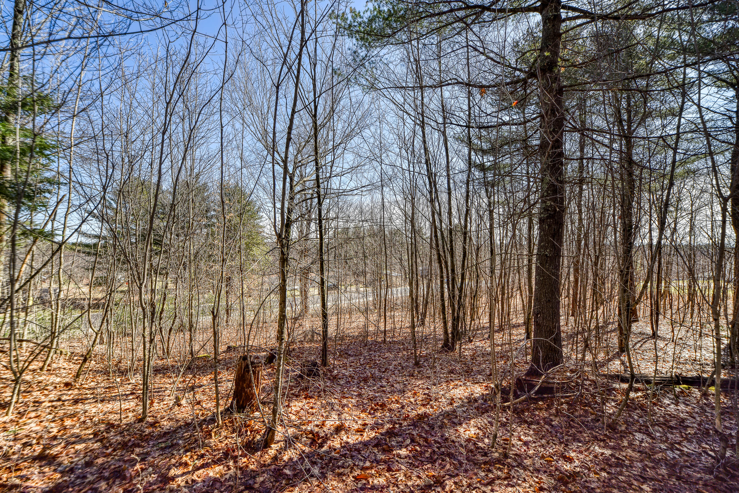 Lot 53-03 Langdon Road Richmond, ME 04357 - Photo 39 of 43 108695gr-124