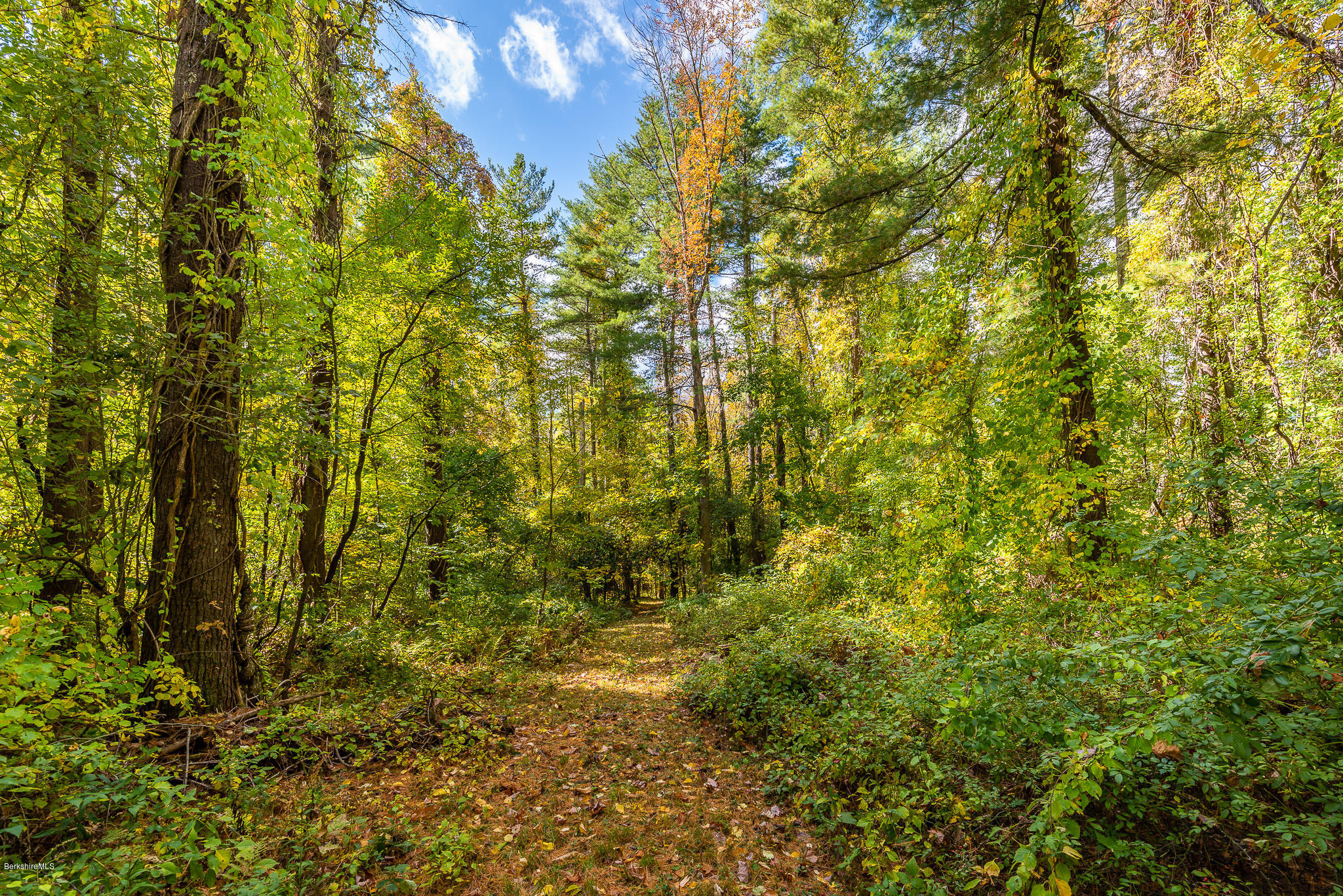 235 Long Pond Road Great Barrington, MA 01230 - Photo 43 of 43 Walking Path