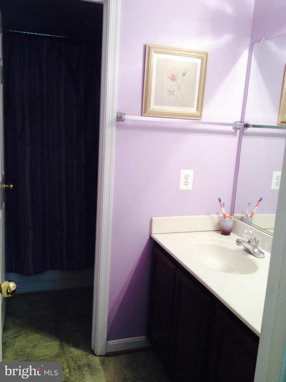 11709 Fort Washington Road Fort Washington, MD 20744 - Photo 14 of 23 a bathroom with a sink and a mirror
