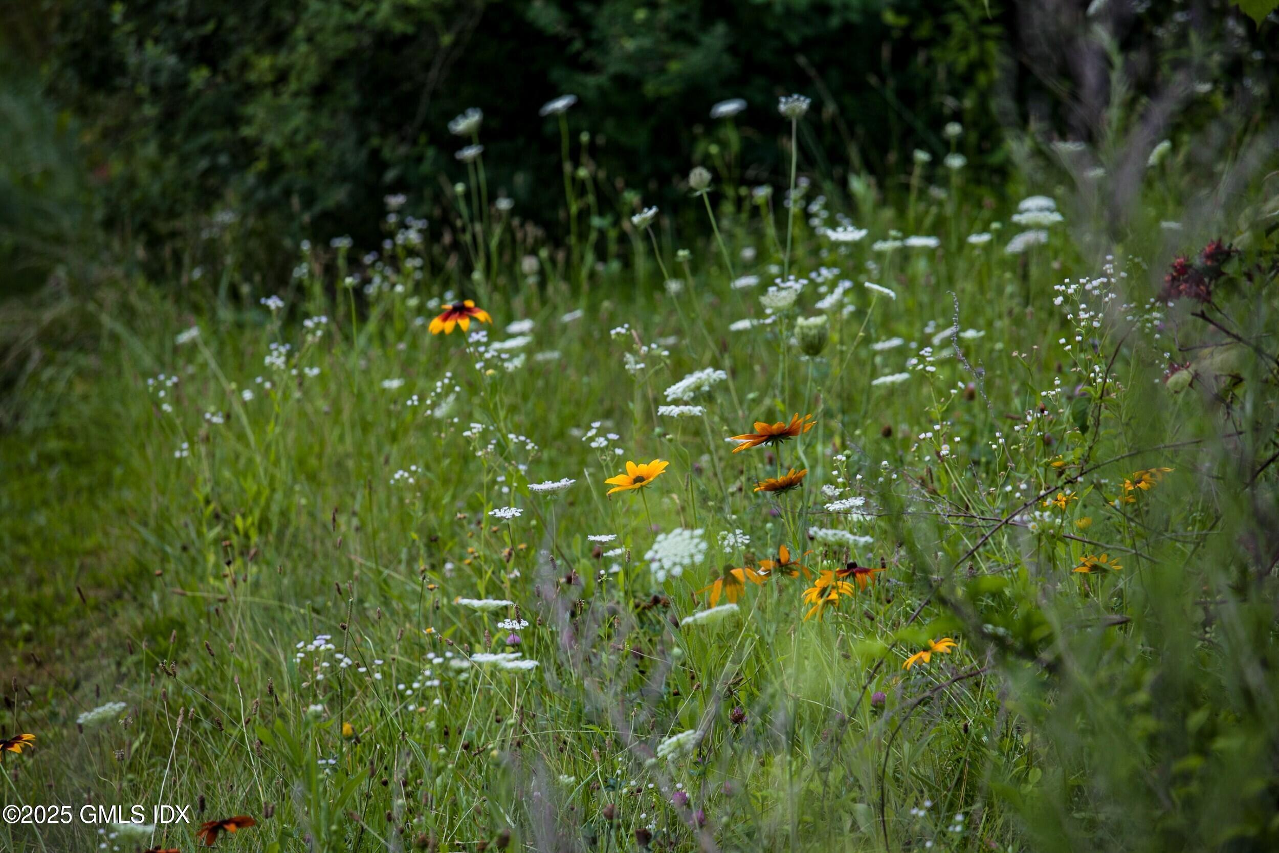 945 Oenoke Ridge New Canaan, CT 06840 - Photo 82 of 94 a view of a lush green plant