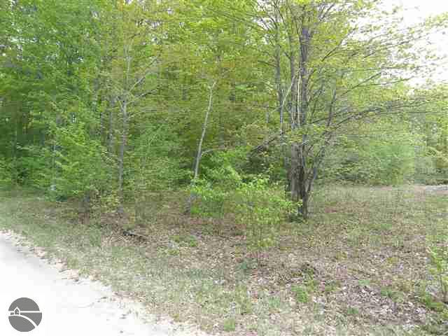 Lot 10 Roberts Road Beulah, MI 49617 - Photo 6 of 20 1732674-5.JPG