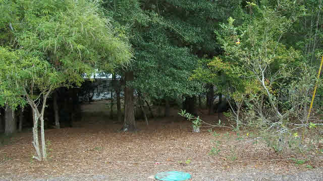 447 Elberta Loop Lillian, AL 36549 - Photo 1 of 1