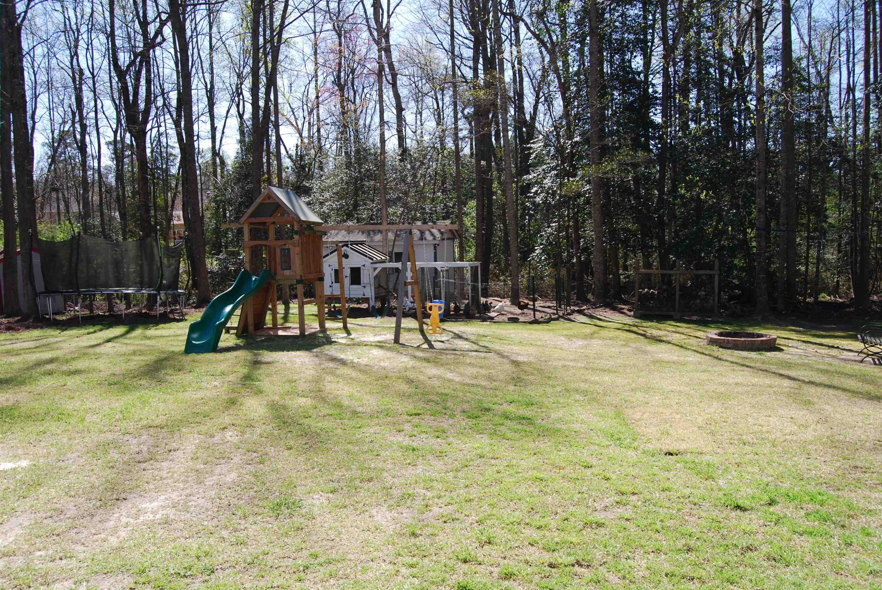 128 Deerview Drive Willow Spring, NC 27592 - Photo 34 of 34 a view of outdoor space with trees