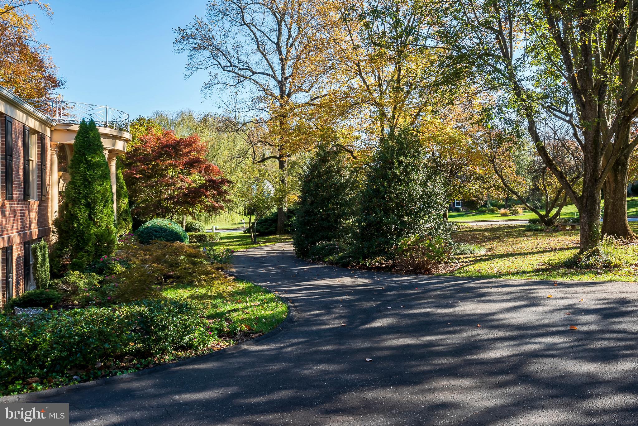 Front Yard and Circular Driveway