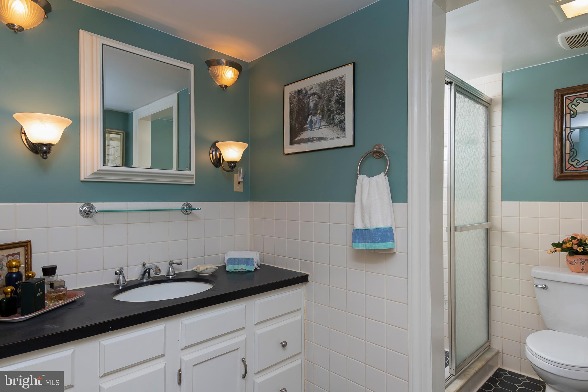 312 East Ridgely Road Lutherville-Timonium, MD 21093 - Photo 60 of 71 Bathroom 3