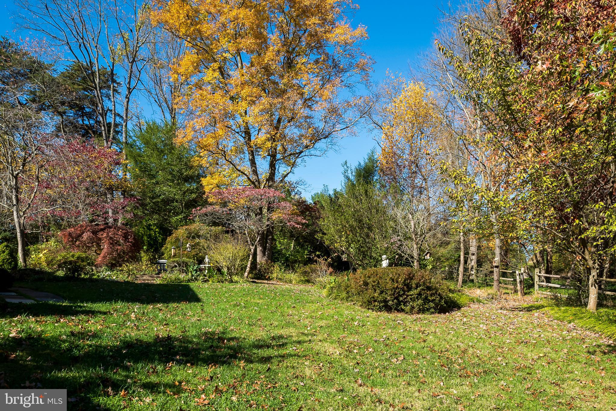 312 East Ridgely Road Lutherville-Timonium, MD 21093 - Photo 61 of 71 Back Yard