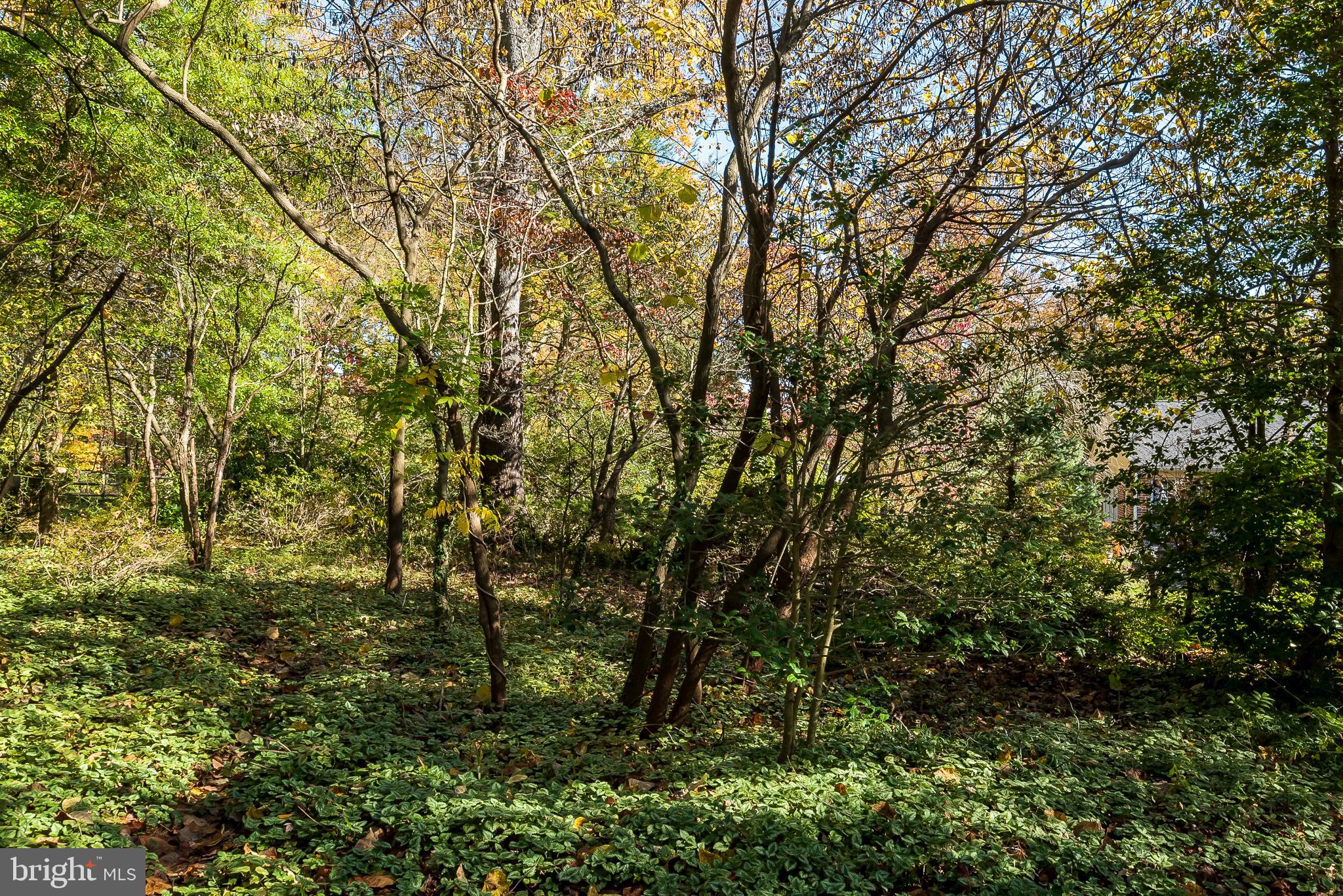 312 East Ridgely Road Lutherville-Timonium, MD 21093 - Photo 63 of 71 Back Yard (alt view)