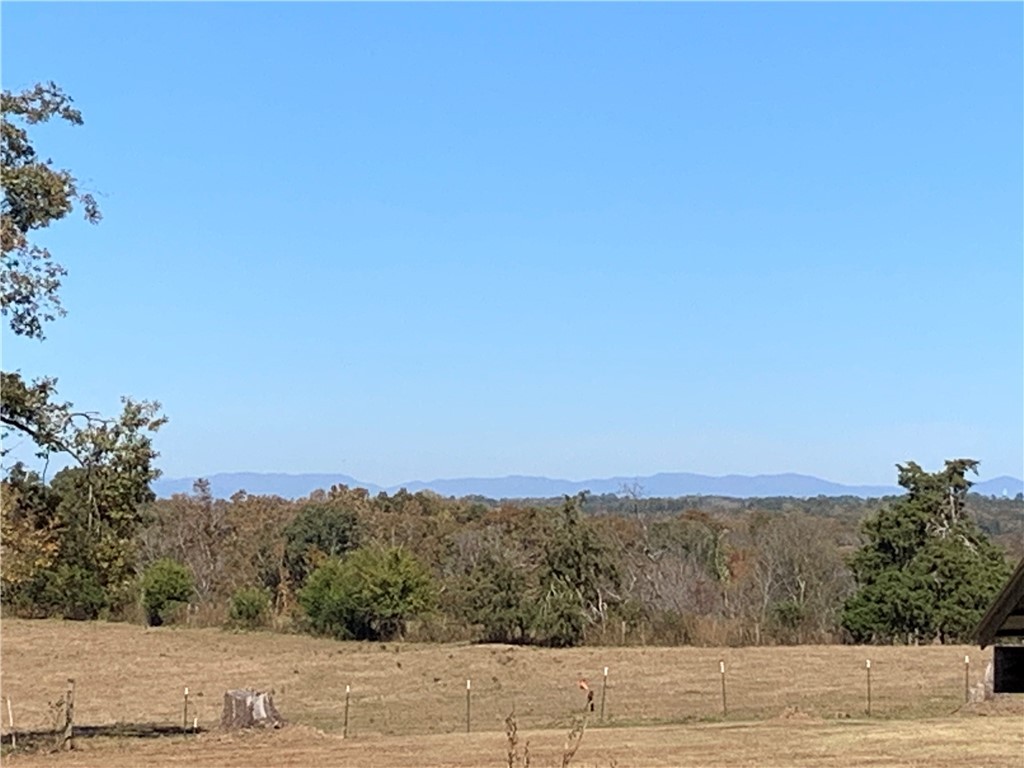 436 Sam Brown Road Seneca, SC 29678 - Photo 25 of 29 Gallery Image 25
