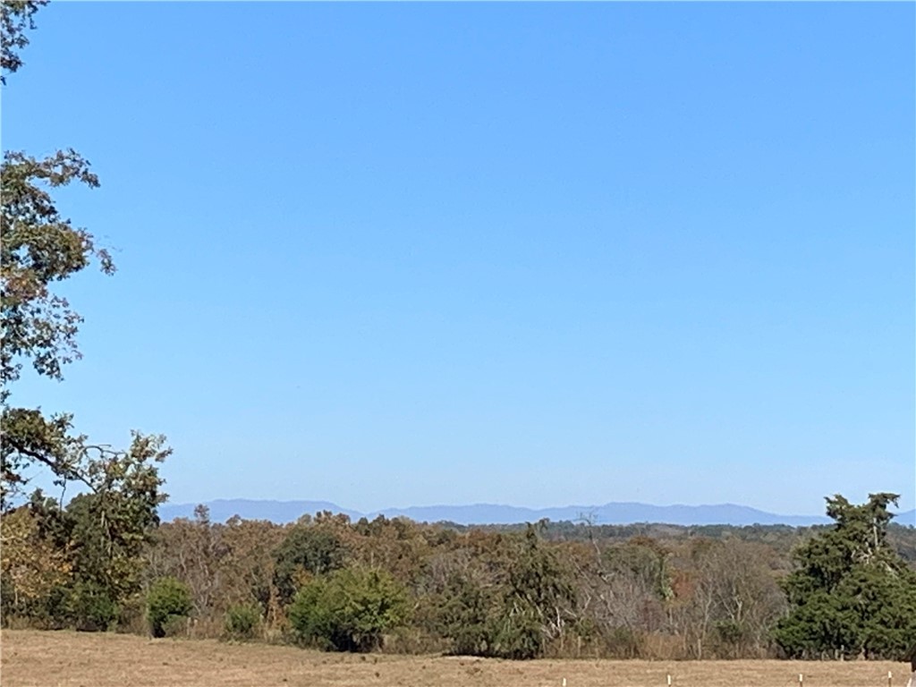 436 Sam Brown Road Seneca, SC 29678 - Photo 26 of 29 Gallery Image 26