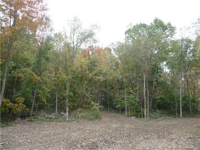 0 Purity Road Northeast Newark, OH 43055 - Photo 4 of 5