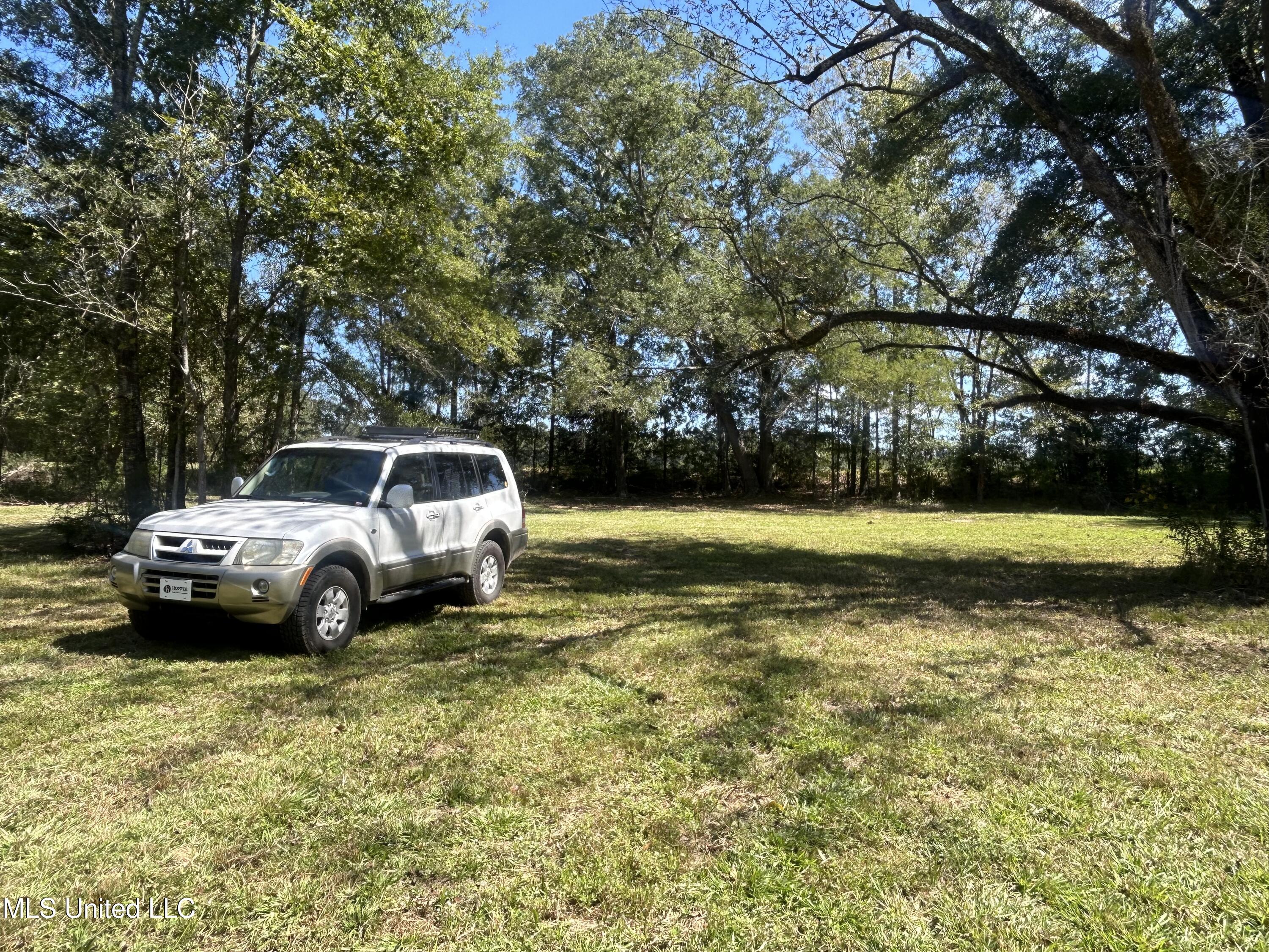 Pinehaven Road Jackson, MS 39209 - Photo 13 of 18 IMG_4073