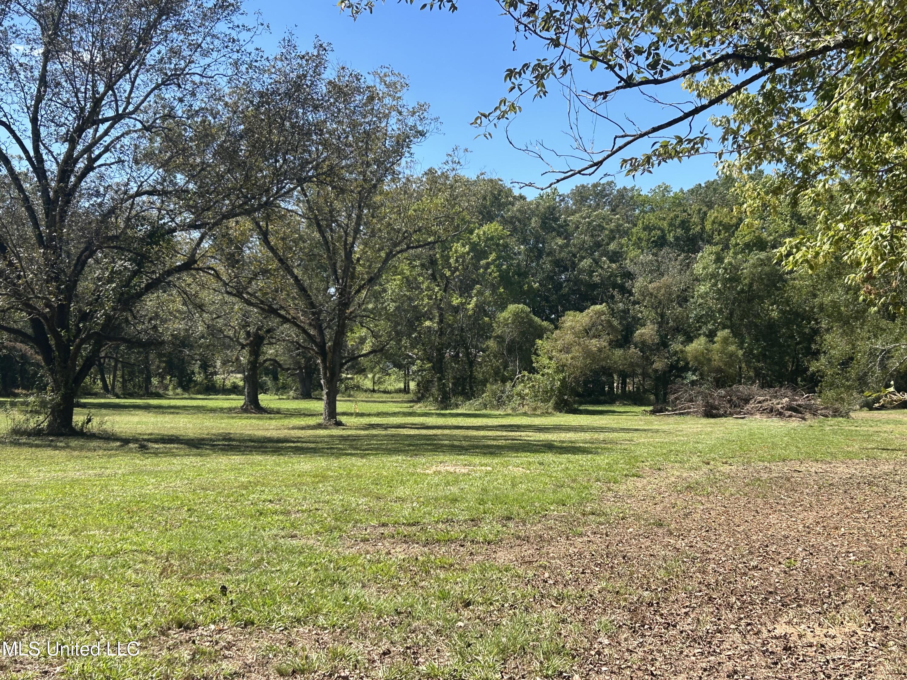 Pinehaven Road Jackson, MS 39209 - Photo 18 of 18 IMG_4066