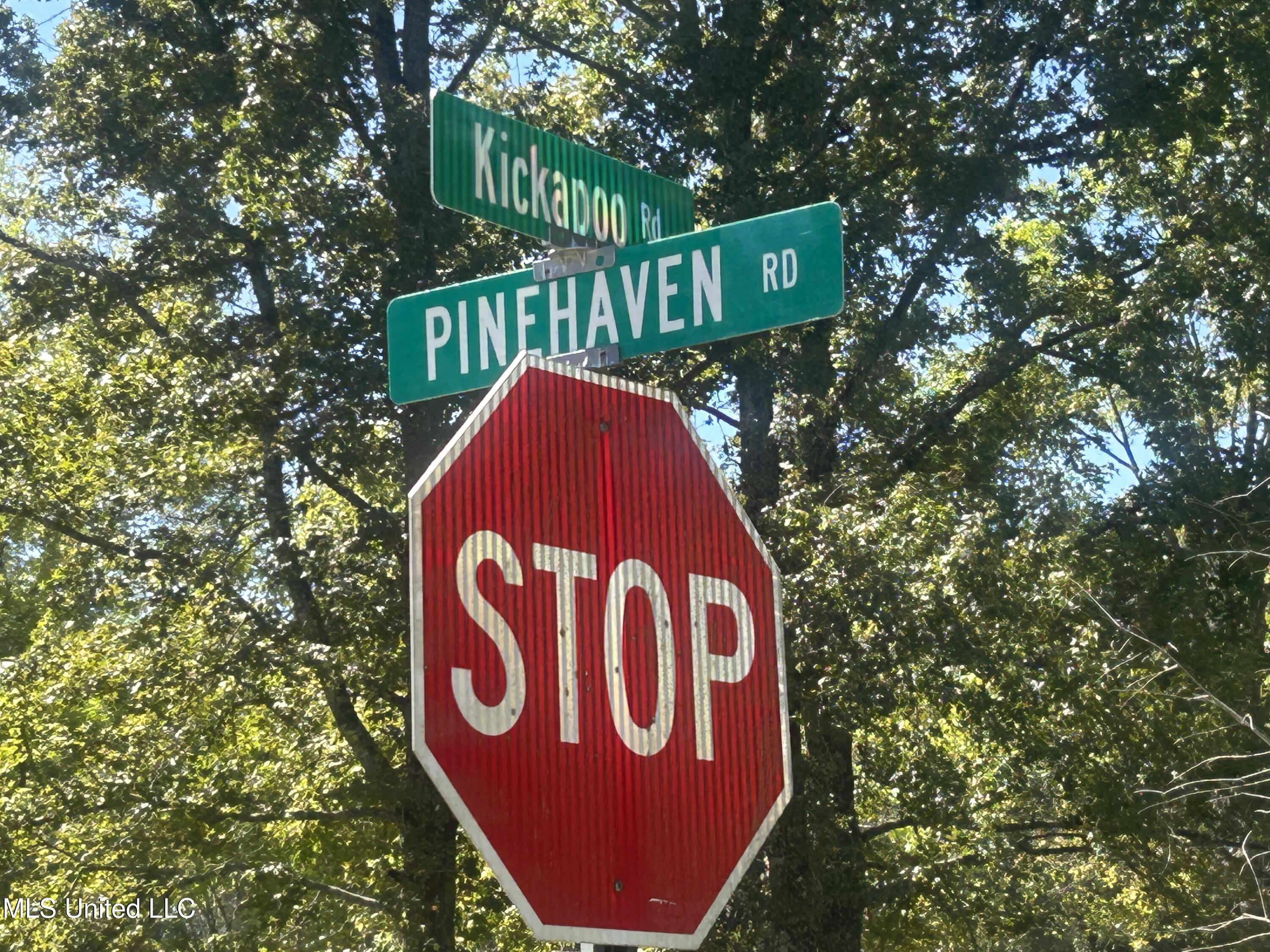 Pinehaven Road Jackson, MS 39209 - Photo 5 of 18 IMG_4077