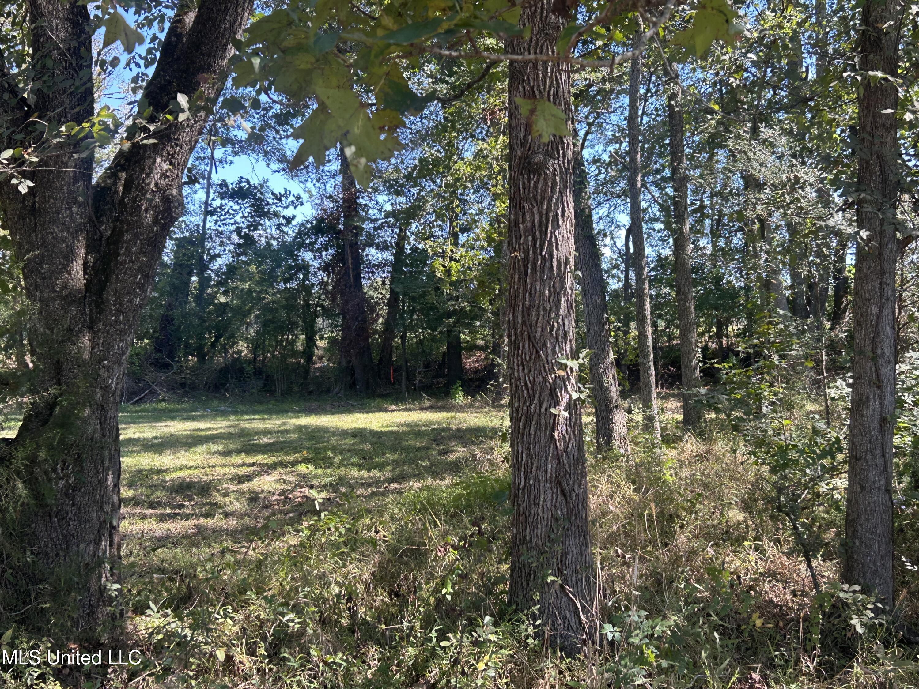Pinehaven Road Jackson, MS 39209 - Photo 8 of 18 IMG_4065