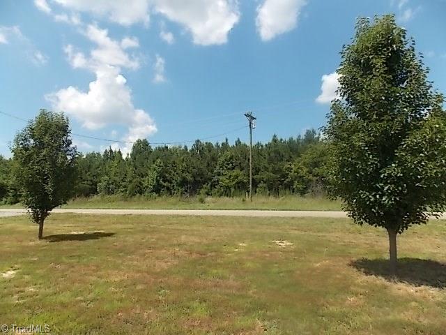 319 Brewer Road Seagrove, NC 27341 - Photo 24 of 26
