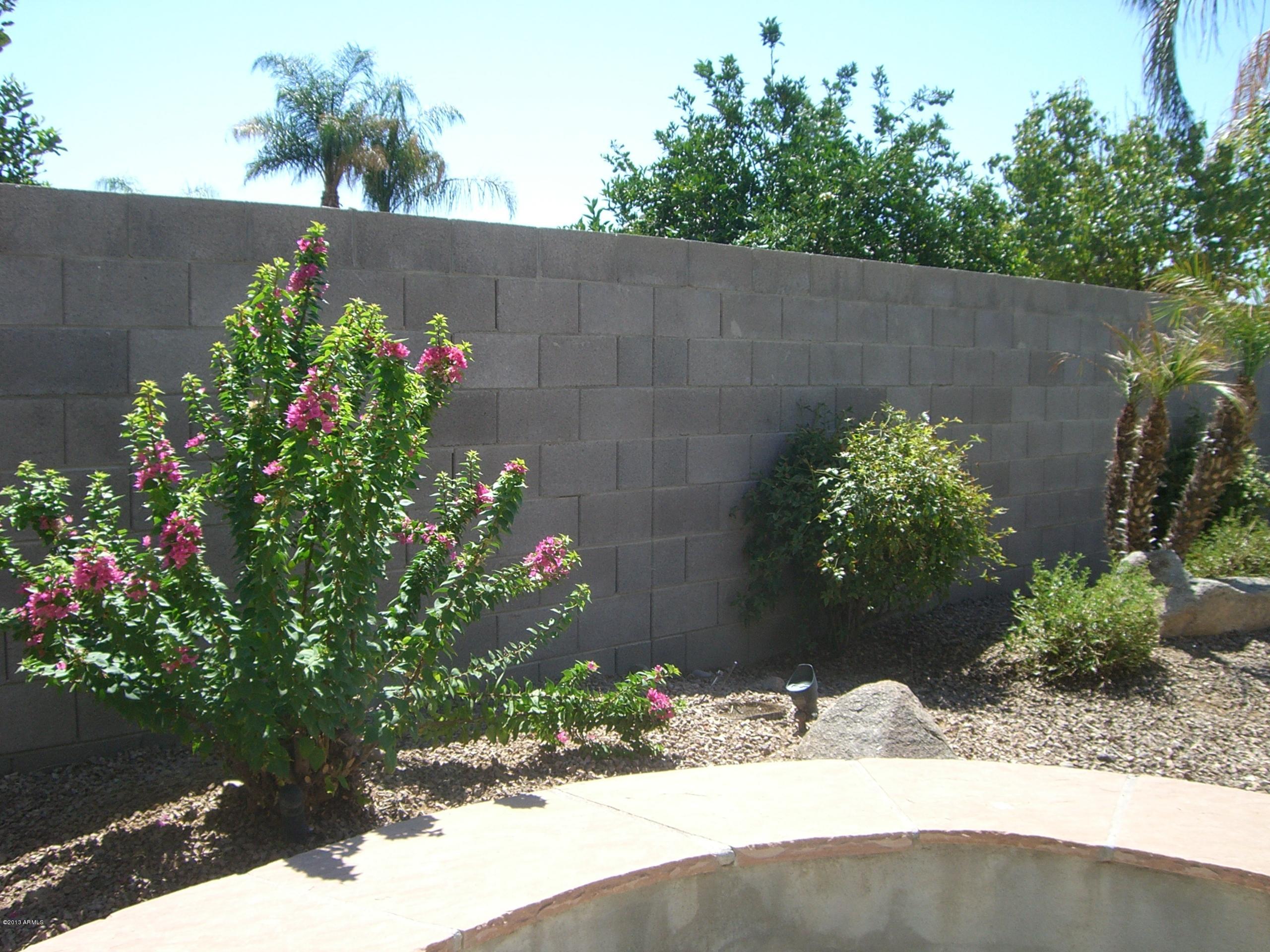 3281 South Martingale Road Gilbert, AZ 85297 - Photo 32 of 34 BACK YARD LANDSCAPING