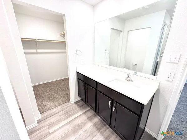 a bathroom with a sink a mirror and a shower