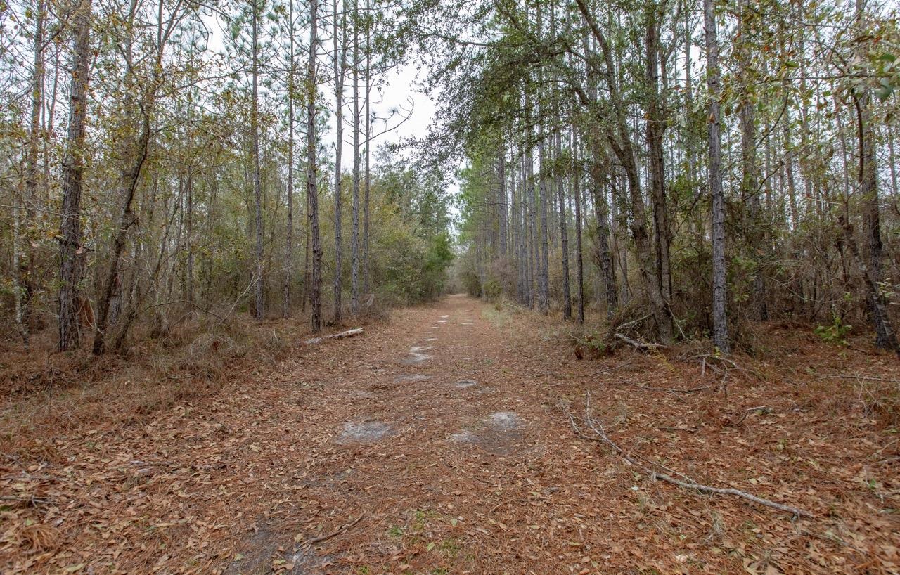 561 Southwest Wacissa Ter