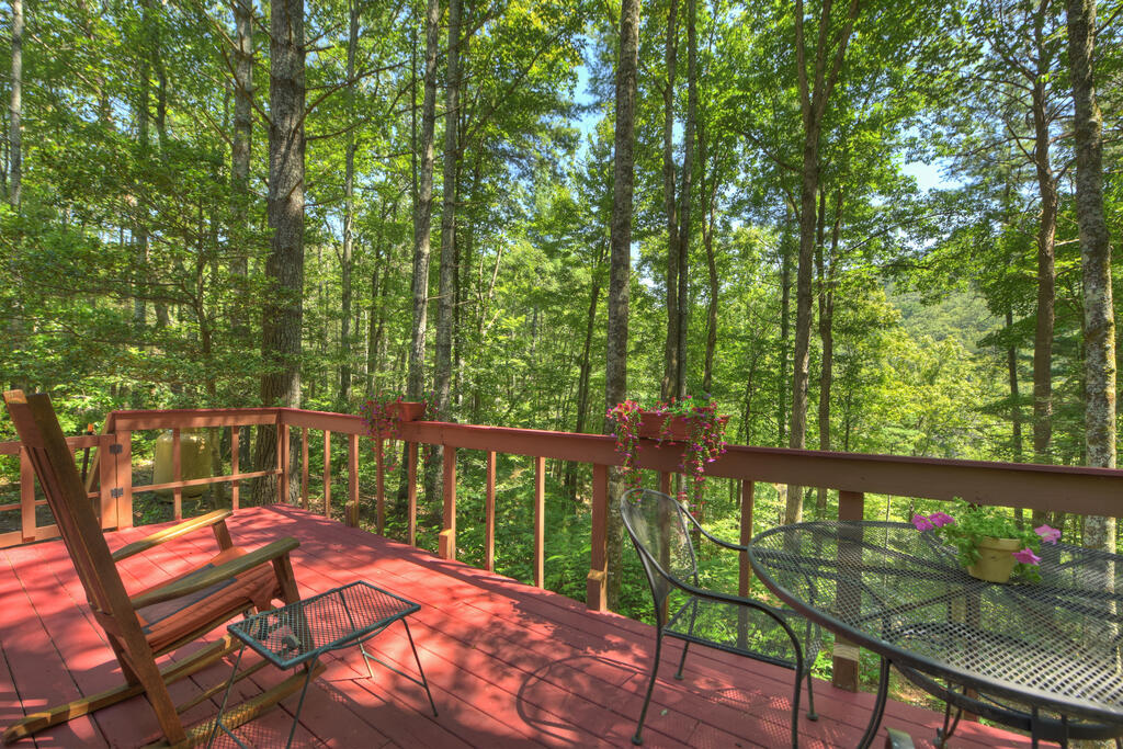 11296 Old CCC Camp Road Ellijay, GA 30540 - Photo 9 of 34 Gallery Image 9