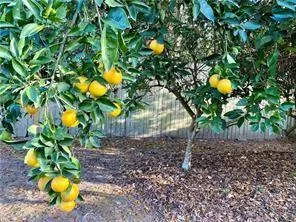 $329,900 | 929 Rapatel Street, Mandeville, LA 70448