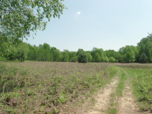 2350 North Black Road Twining, MI 48766 - Photo 26 of 35 1800556-25.JPG